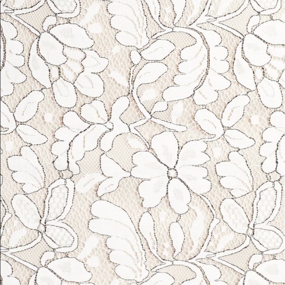 Lace Dress - Picture 6 of 9